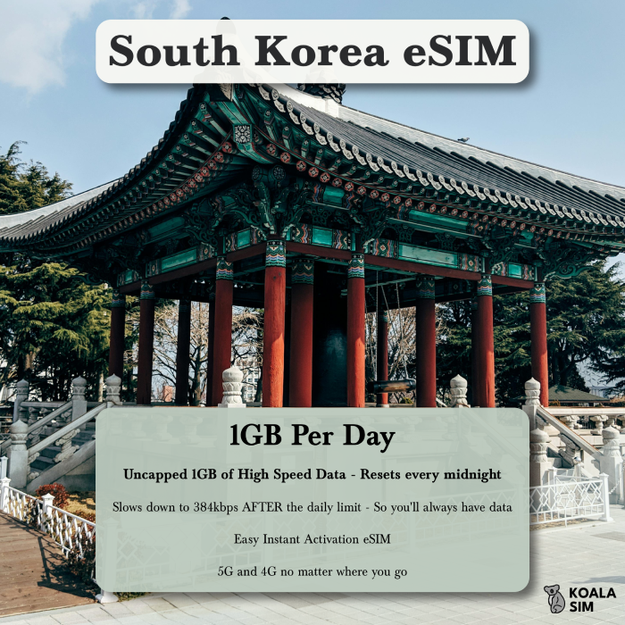 South Korea Travel eSIM - Instant 5G Data Plans for Travel