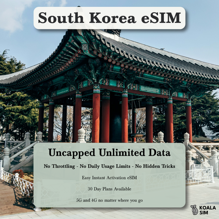 South Korea Travel eSIM - Instant 5G Data Plans for Travel