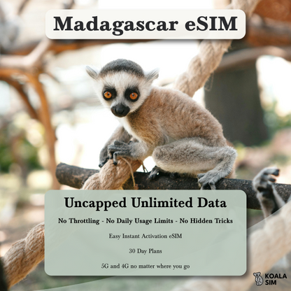 Madagascar Travel eSIM - Instant 5G Data Plans for Travel