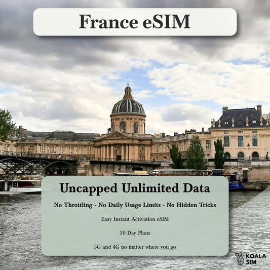 France Travel eSIM - Instant 5G Data Plans for Travel