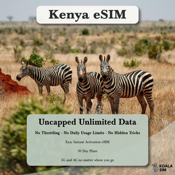 Kenya Travel eSIM - Instant 5G Data Plans for Travel