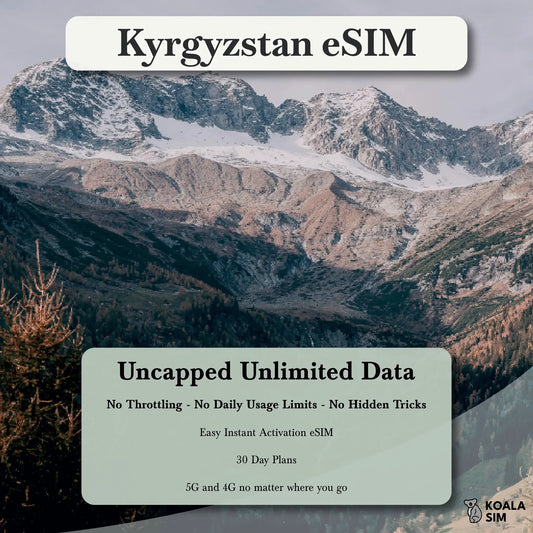 Kyrgyzstan Travel eSIM - Instant 5G Data Plans for Travel