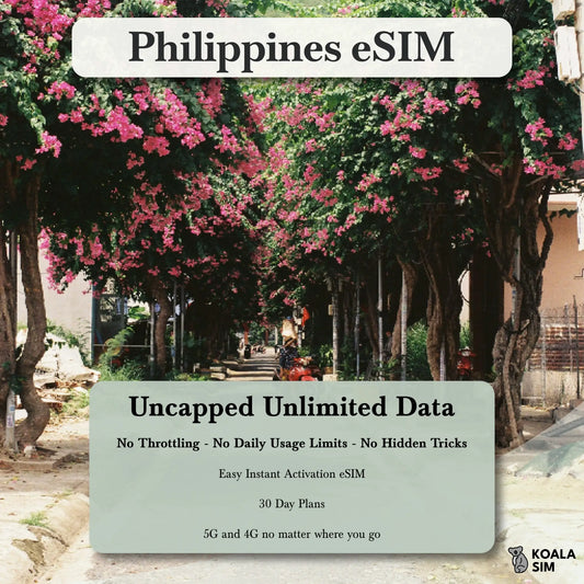 Philippines Travel eSIM - Instant 5G Data Plans for Travel