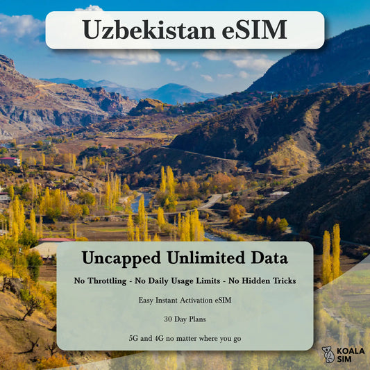 Uzbekistan Travel eSIM - Instant 5G Data Plans for Travel